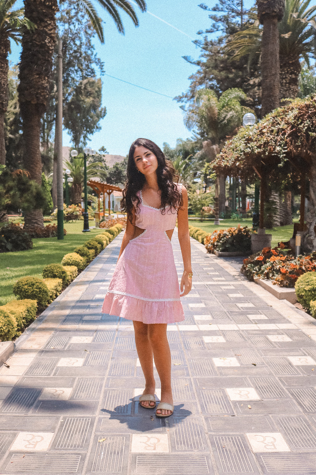 Ale Dress Pink