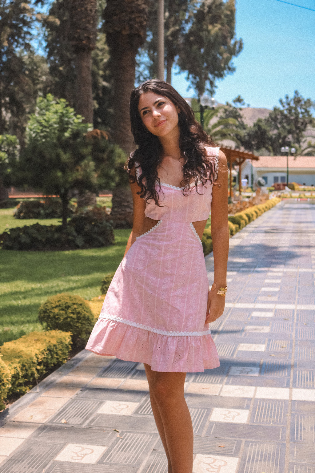 Ale Dress Pink
